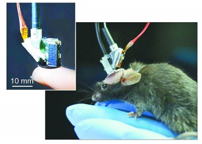 科學(xué)大咖帶你看懂2017年度中國(guó)科學(xué)十大進(jìn)展