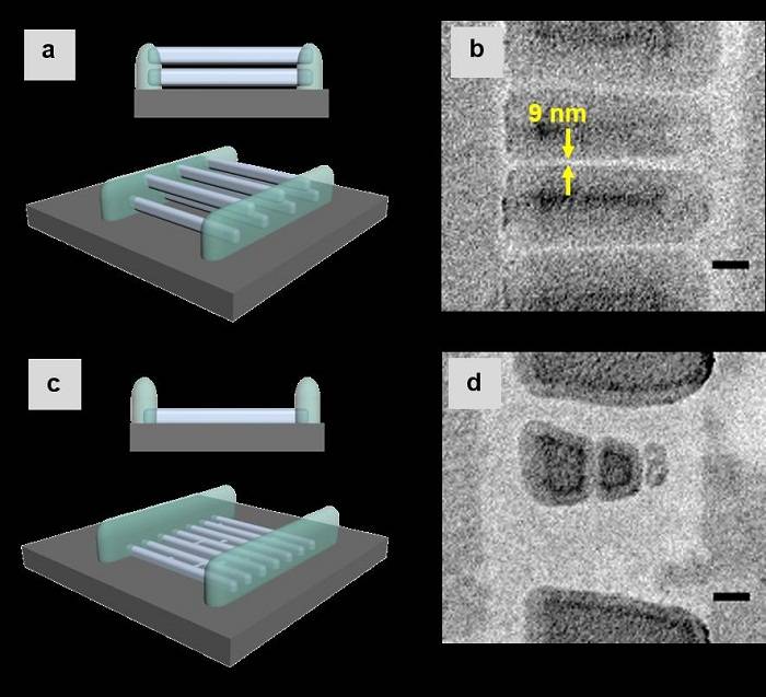 新加坡科技設(shè)計(jì)大學(xué)使用激光直寫技術(shù)打印10納米級(jí)懸空納米網(wǎng)格 新加坡科技設(shè)計(jì)大學(xué)使用激光直寫技術(shù)打印10納米級(jí)懸空納米網(wǎng)格