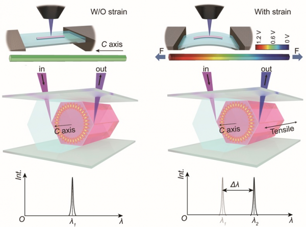 中國科學院單模激光輸出與動態調控研究獲進展