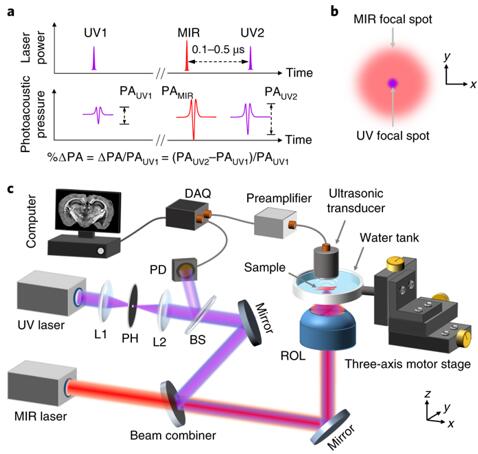 新激光技術:能夠取代用于尖端活檢技術手術刀