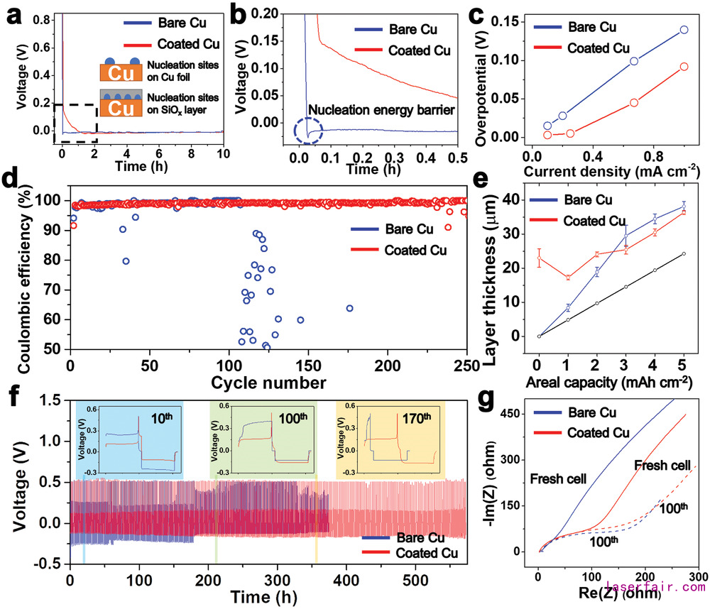 AM:激光誘導氧化硅層助力無負極鋰金屬電池 AM:激光誘導氧化硅層助力無負極鋰金屬電池