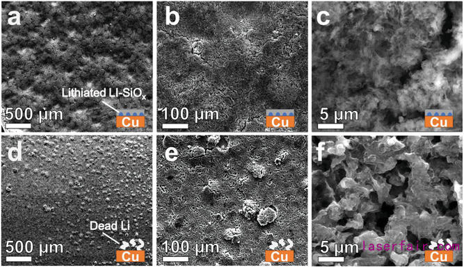 AM:激光誘導氧化硅層助力無負極鋰金屬電池 AM:激光誘導氧化硅層助力無負極鋰金屬電池