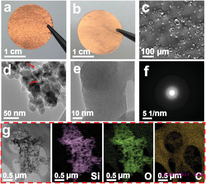 AM:激光誘導氧化硅層助力無負極鋰金屬電池 AM:激光誘導氧化硅層助力無負極鋰金屬電池