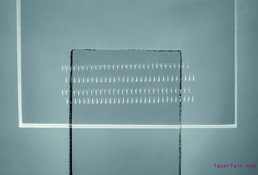 1604715808563711.jpg 1604715808563711.jpg