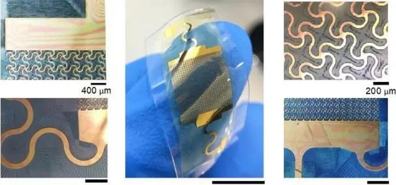 1624952710855535.jpg 1624952710855535.jpg