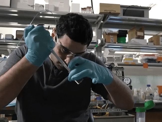 1629876821887165.jpg 1629876821887165.jpg