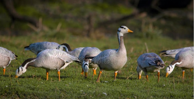 1638774842736876.jpg 1638774842736876.jpg