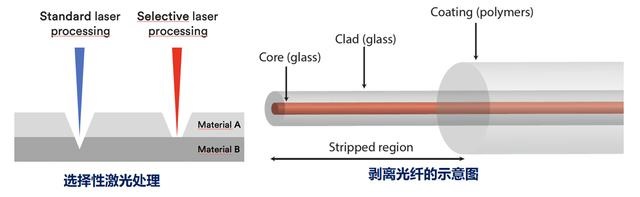 1640163284447026.jpg 1640163284447026.jpg