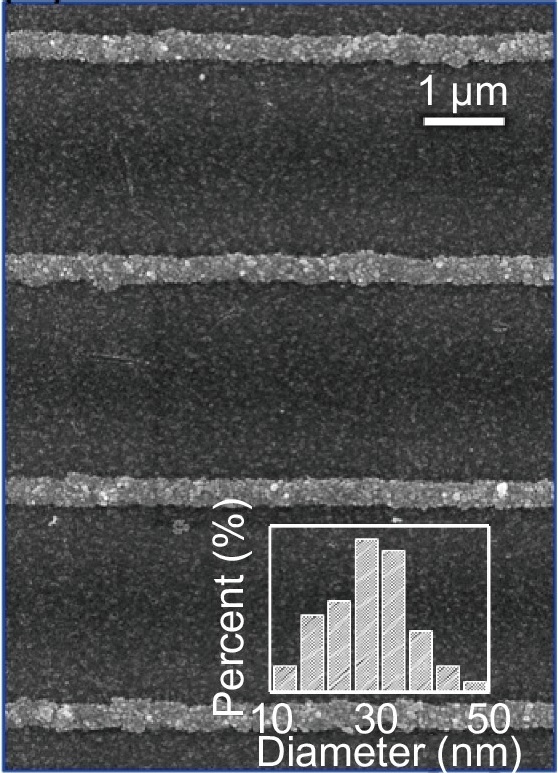 1644287503510995.jpg 1644287503510995.jpg