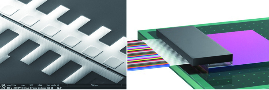 1648545677514616.jpg 5.jpg