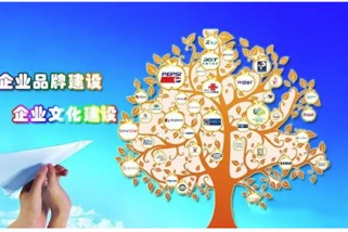 企業品牌戰略規劃要考慮哪些實際因素