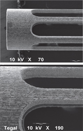 在低倍和高倍掃描式電子顯微鏡下,經Smart Light MD加工的鎳鈦合金支架的圖像