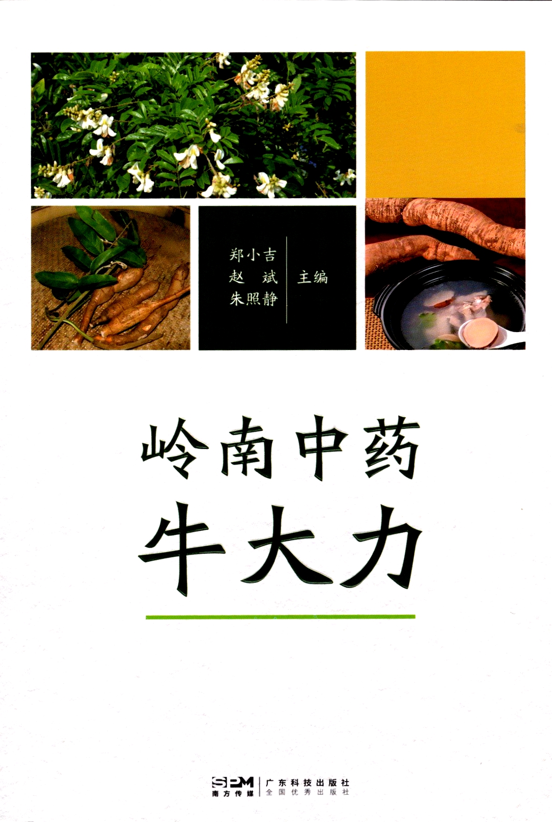 嶺南中藥牛大力