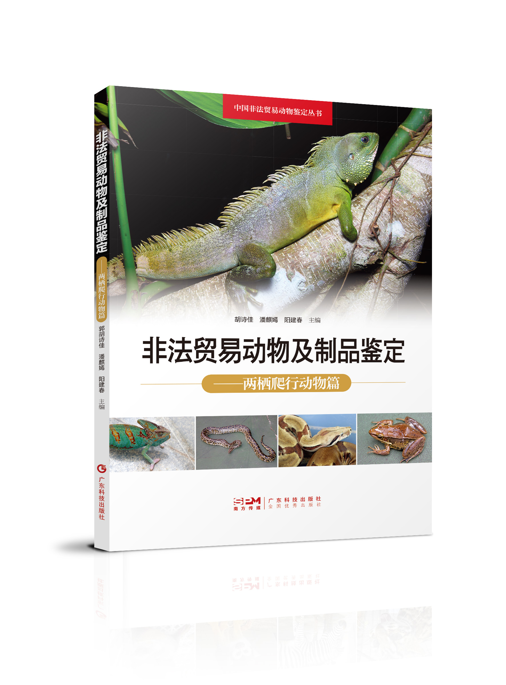 非法貿易動(dòng)物及制品鑒定——兩棲爬行動(dòng)物篇