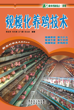 規?；B雞技術(shù)
