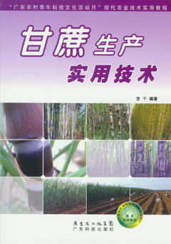 甘蔗生產(chǎn)實(shí)用技術(shù)