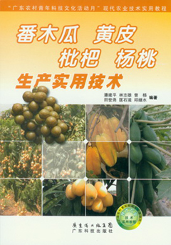 番木瓜 黃皮 枇杷 楊桃生產(chǎn)實(shí)用技術(shù)