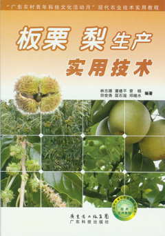 板栗 梨生產(chǎn)實(shí)用技術(shù)