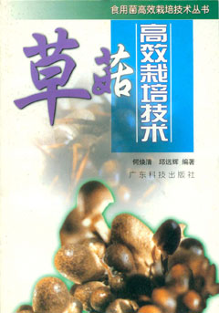 草菇高效栽培技術(shù)