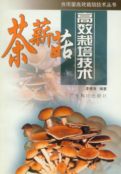 茶薪菇高效栽培技術(shù)