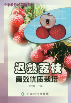 遲熟荔枝高效優(yōu)質(zhì)栽培