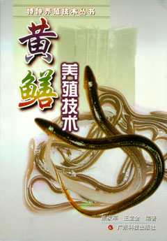 黃鱔養殖技術(shù)