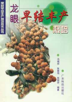 龍眼早結豐產(chǎn)栽培
