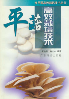 平菇高效栽培技術(shù)