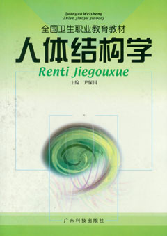 人體結構學(xué)