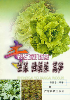 專(zhuān)家教你種蔬菜--生菜 油荬菜 萵筍