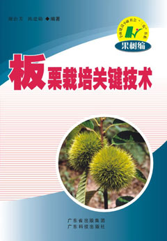 板栗栽培關(guān)鍵技術(shù)