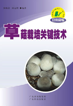 草菇栽培關(guān)鍵技術(shù)