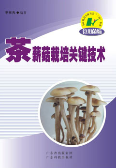 茶薪菇栽培關(guān)鍵技術(shù)