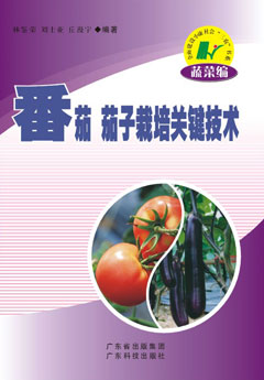 番茄茄子栽培關(guān)鍵技術(shù)