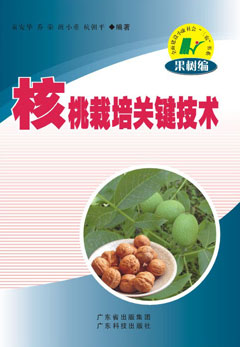 核桃栽培關(guān)鍵技術(shù)