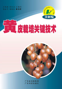 黃皮栽培關(guān)鍵技術(shù)