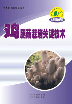 雞腿菇栽培關(guān)鍵技術(shù)