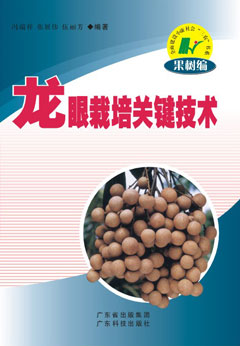 龍眼栽培關(guān)鍵技術(shù)