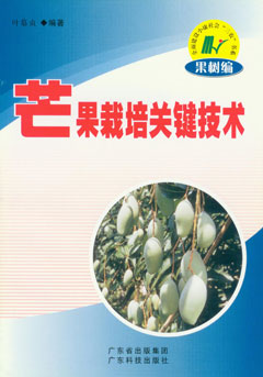 芒果栽培關(guān)鍵技術(shù)