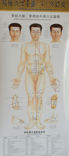 奇經(jīng)八脈，常用經(jīng)外奇穴正面圖