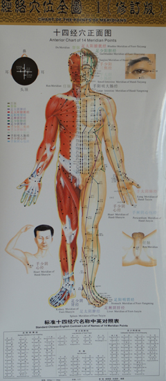 十四經(jīng)穴正面圖
