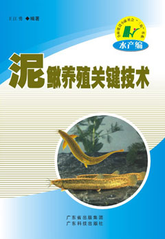 泥鰍養殖關(guān)鍵技術(shù)