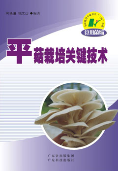 平菇栽培關(guān)鍵技術(shù)