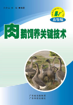肉鵝飼養關(guān)鍵技術(shù)