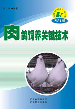 肉鴿飼養關(guān)鍵技術(shù)