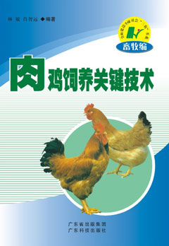 肉雞飼養關(guān)鍵技術(shù)