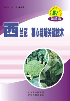 西蘭花菜心栽培關(guān)鍵技術(shù)