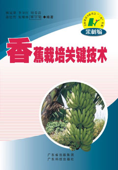 香蕉栽培關(guān)鍵技術(shù)