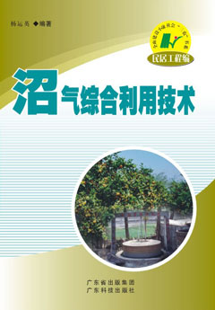 沼氣綜合利用技術(shù)