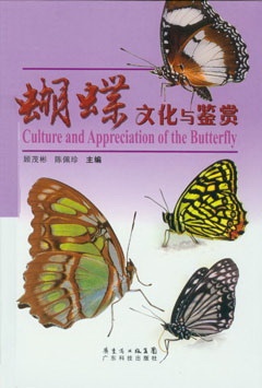 蝴蝶文化與鑒賞